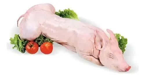LECHON