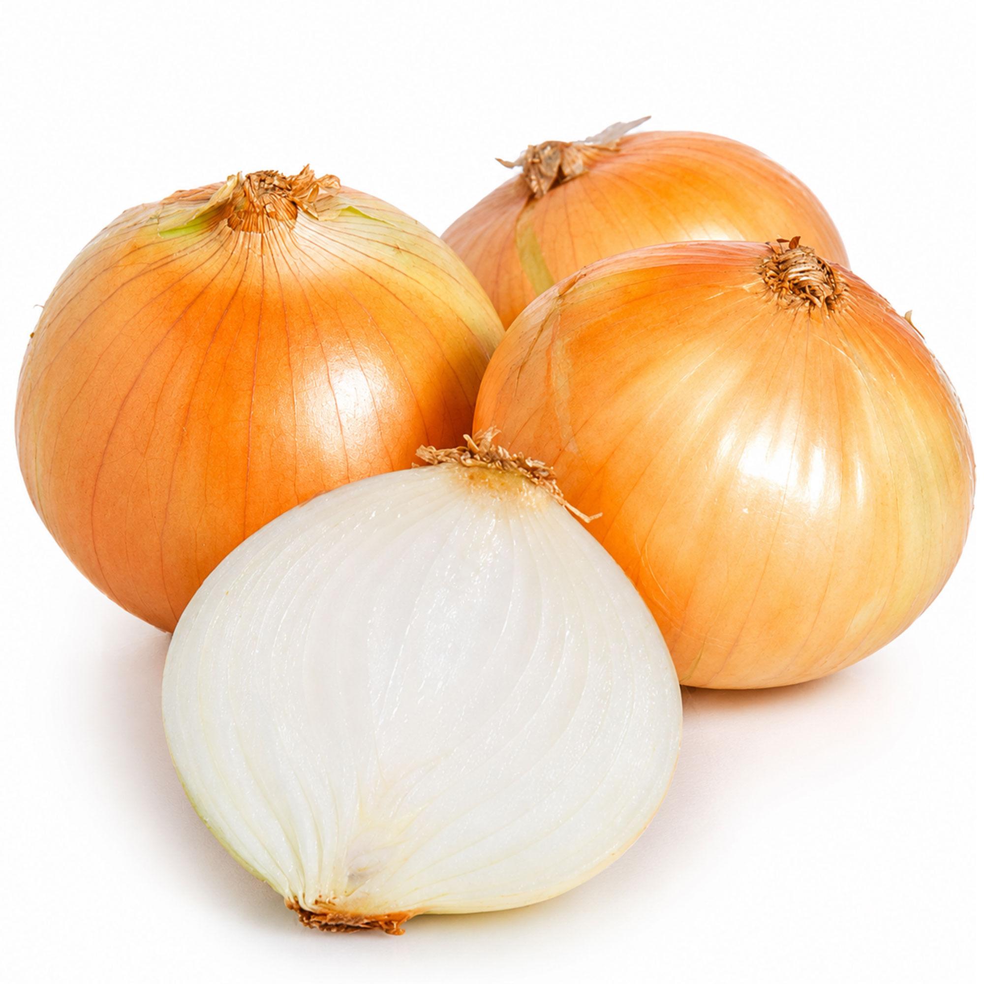 CEBOLLA