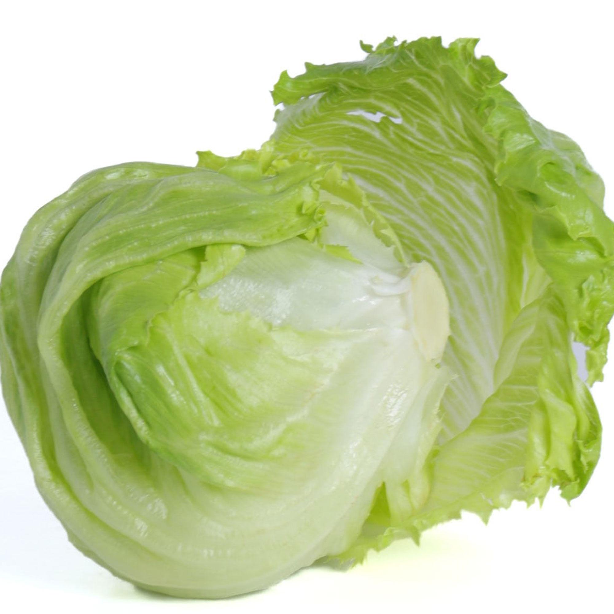 LECHUGA REPOLLADA