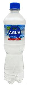 AGUA NATURAL VALLE ASUNCION X 600CC
