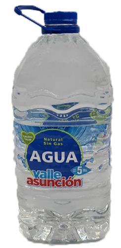 BIDON AGUA VALLE ASUNCION x 5L