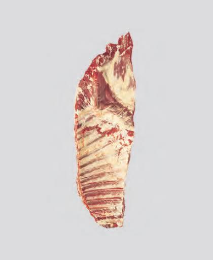 COSTILLAR CON VACIO
