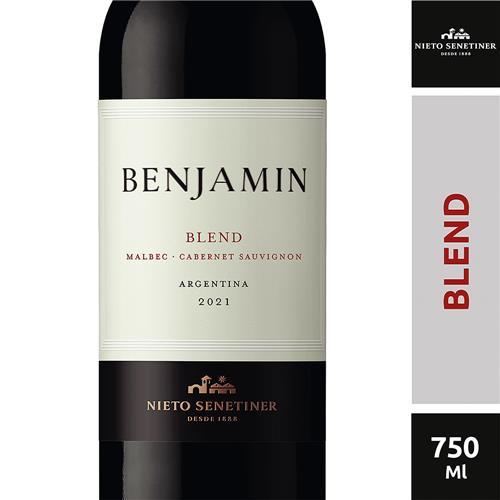 VINO MALBEC BONARDA BENJAMIN x 750ml